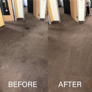 Carpet Cleaning effect